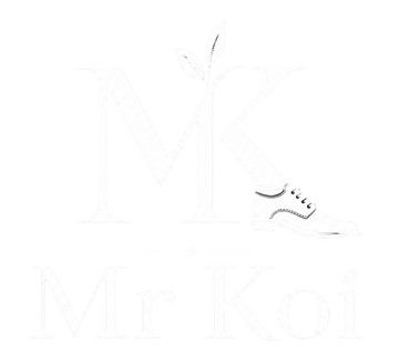 Tiệm Giày Mr Koi